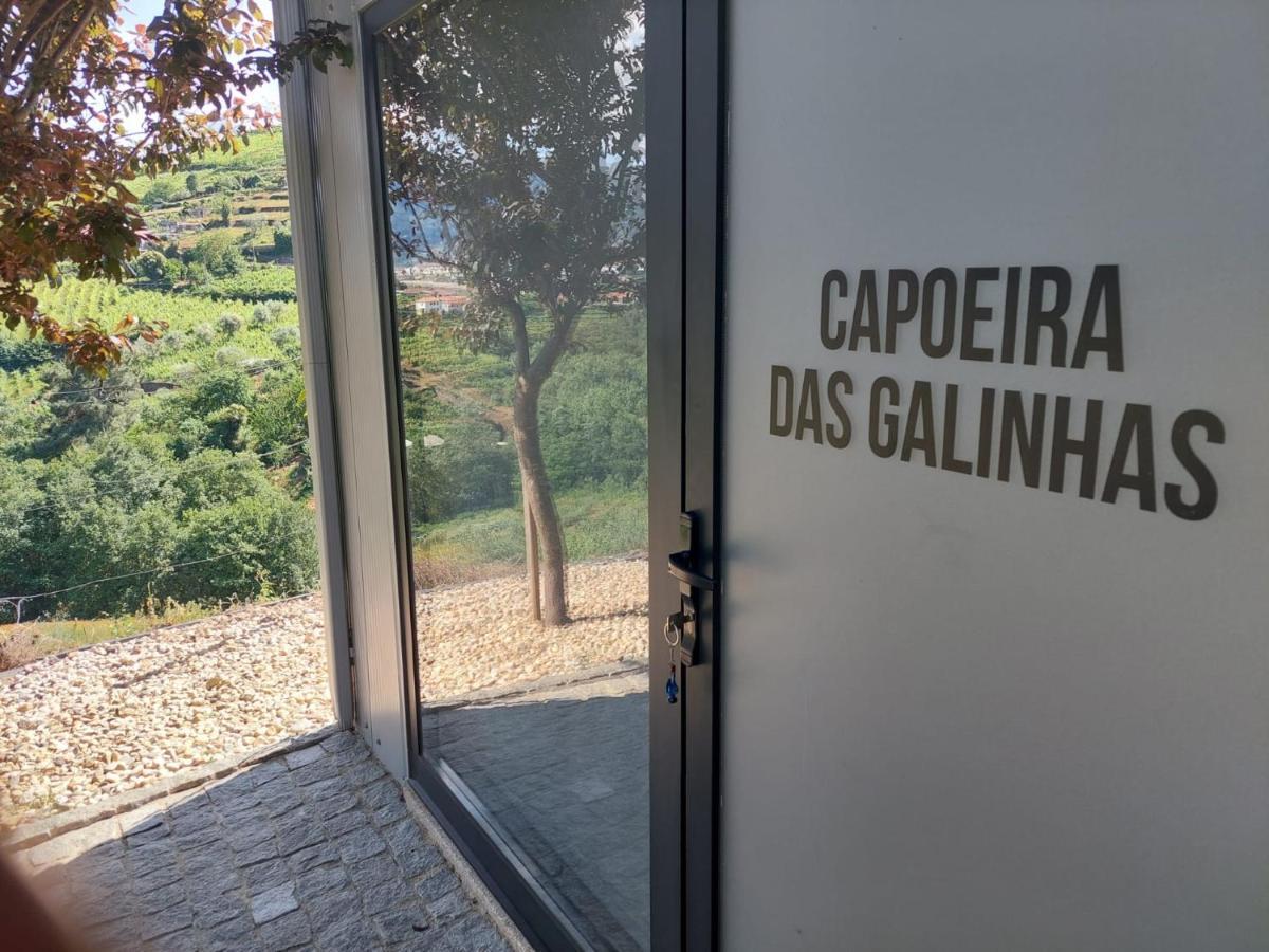 Quinta Sao Jose - Museu Do Triciclo Βίλα Mesão Frio Εξωτερικό φωτογραφία