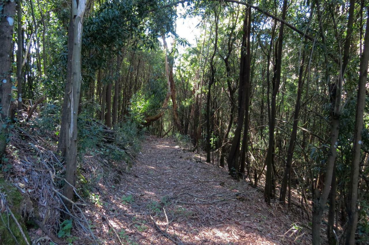 Quinta Sao Jose - Museu Do Triciclo Βίλα Mesão Frio Εξωτερικό φωτογραφία